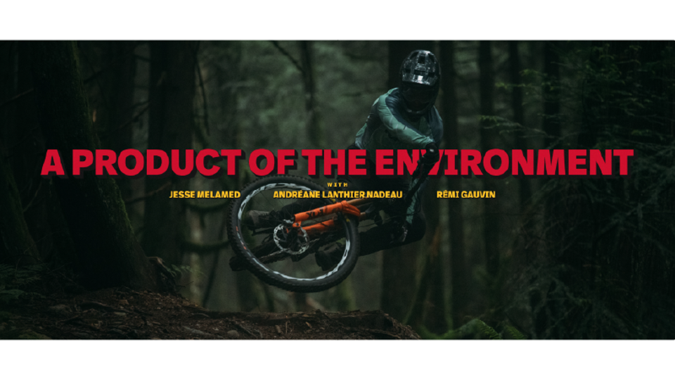 A Product of the Environment