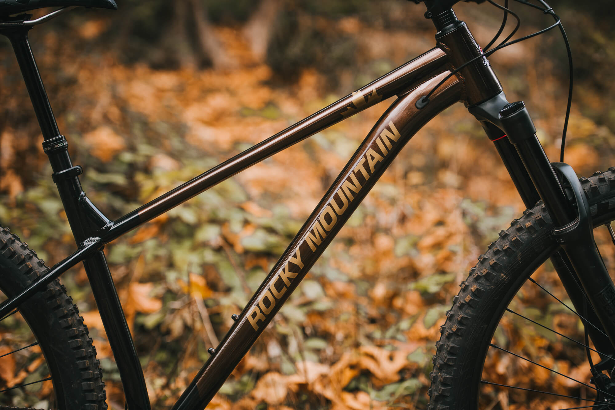 Hardtail & rigid