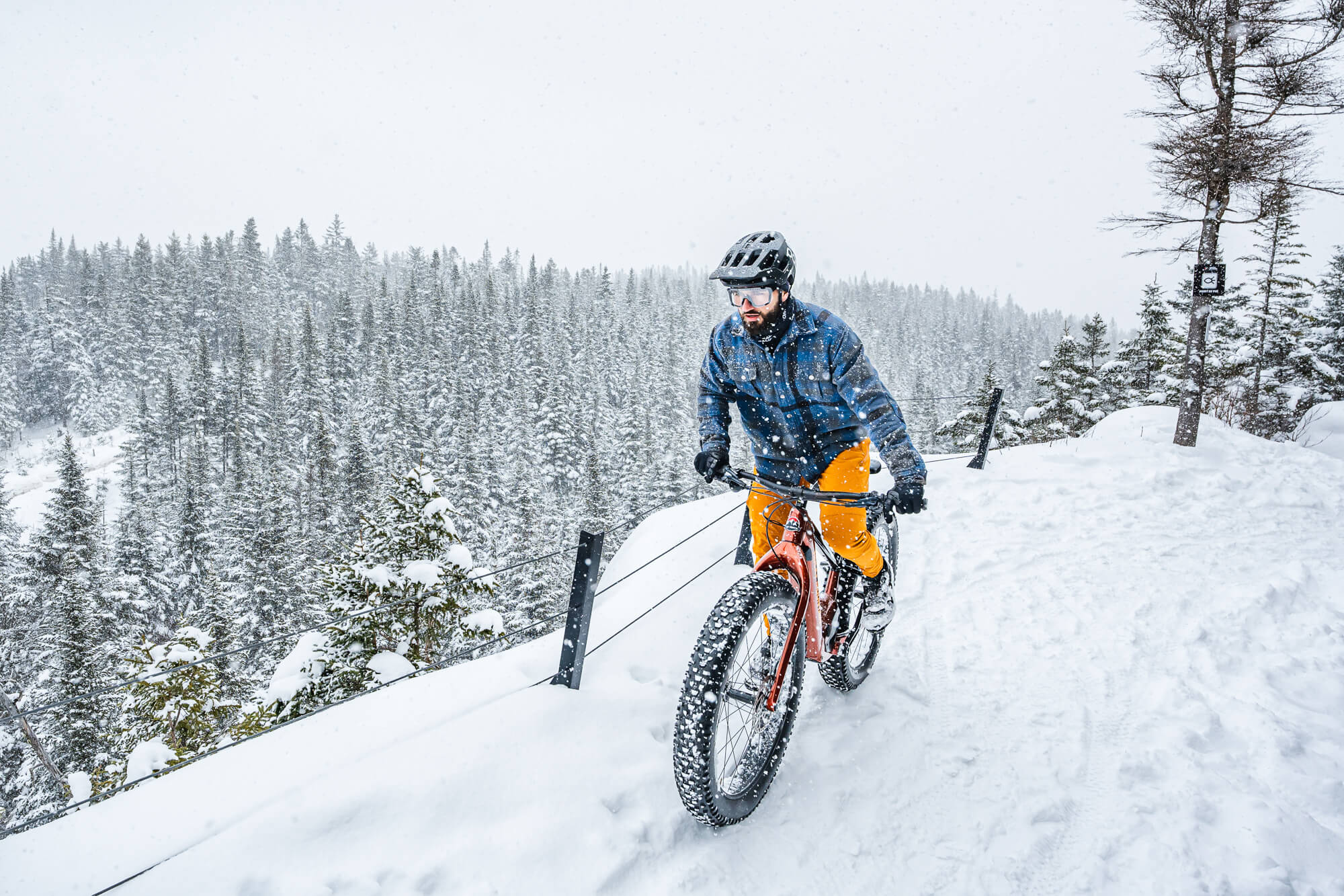Fatbikes