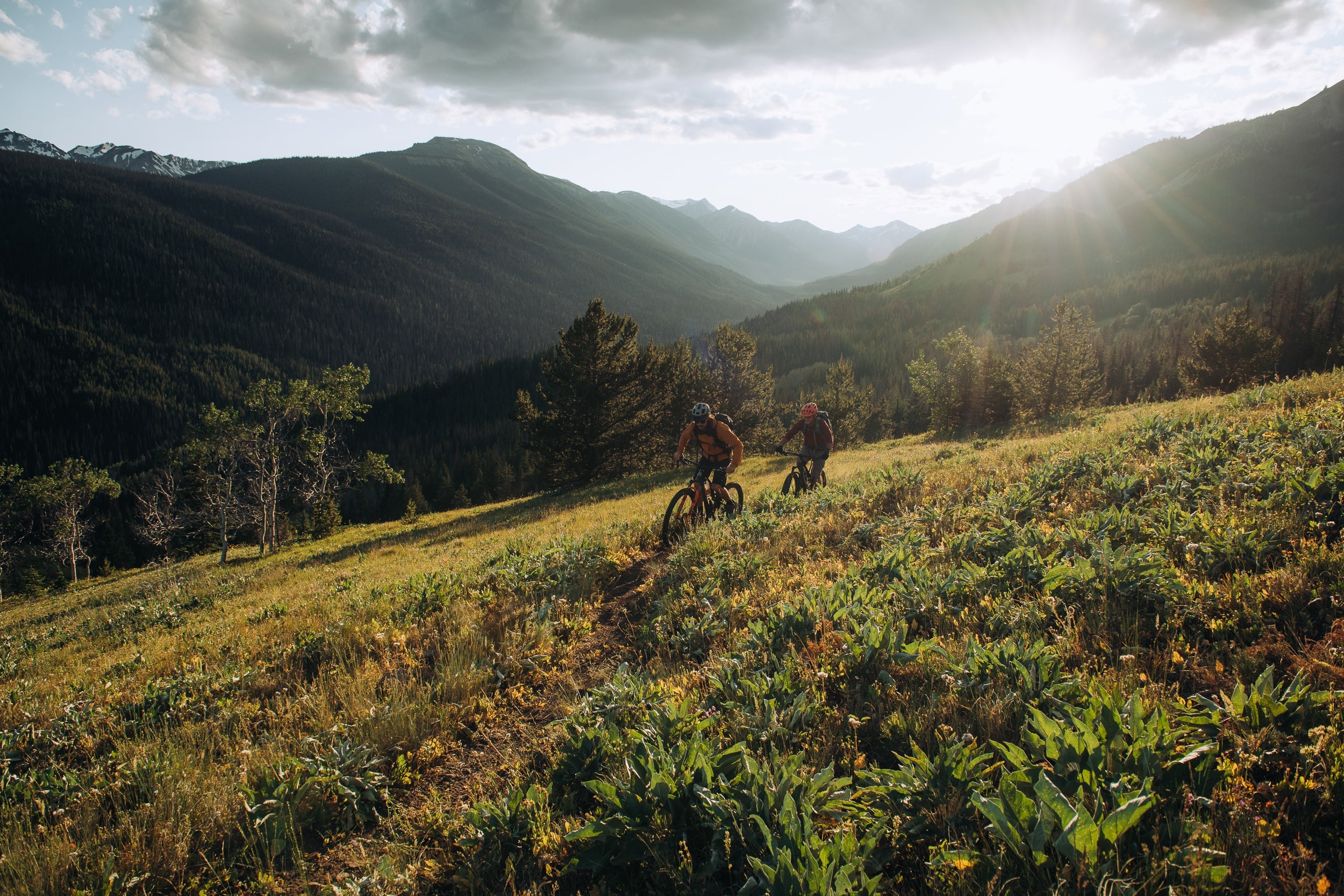 Navigating the trail together: Our continued commitment to riders