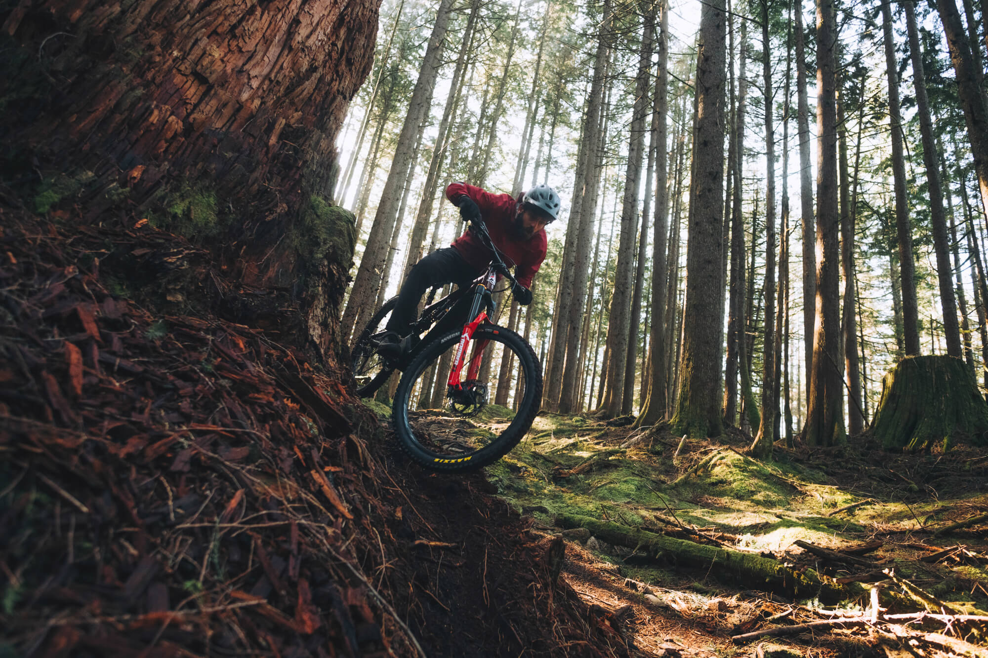 Enduro bike online trails