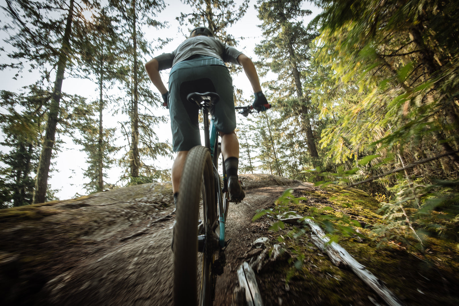 Vertex lineup | Rocky Mountain